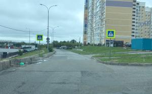 Первые пешеходные переходы